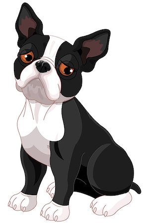 simsearch:400-03942225,k - Illustration of sad cute Boston Terrier Fotografie stock - Microstock e Abbonamento, Codice: 400-08196050