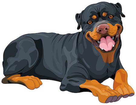 simsearch:400-08054562,k - Illustration of beautiful Rottweiler Foto de stock - Super Valor sin royalties y Suscripción, Código: 400-08196052
