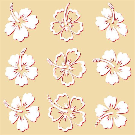 Beautiful white vector hibiscus silhouette icons isolated Stock Photo - Budget Royalty-Free & Subscription, Code: 400-08196243