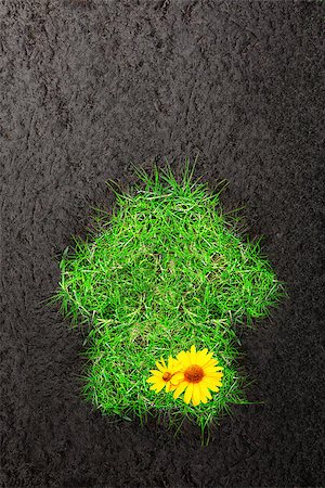 Eco background with soil and house of green grass Stock Photo - Budget Royalty-Free & Subscription, Code: 400-08196903