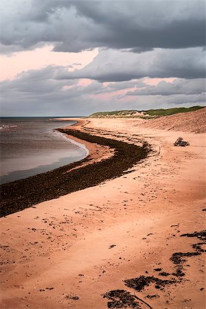 pea - Beach at sunset in Prince Edward Island, Canada with dark cloudy sky Photographie de stock - Aubaine LD & Abonnement, Code: 400-08197399