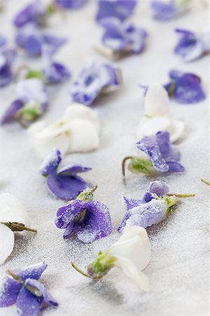 fresh edible flower violet - Candied sugared violet flowers drying on parchment paper Stock Photo - Budget Royalty-Free & Subscription, Code: 400-08197412