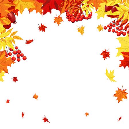 simsearch:400-04983103,k - Autumn  Frame With Maple, Rowan and Dog Rose Leaves and Berries Over White Background. Elegant Design with Text Space and Ideal Balanced Colors. Vector Illustration. Fotografie stock - Microstock e Abbonamento, Codice: 400-08199464