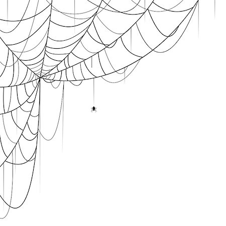 simsearch:400-08200203,k - Vector illustration of spider and web on white background Stock Photo - Budget Royalty-Free & Subscription, Code: 400-08199603