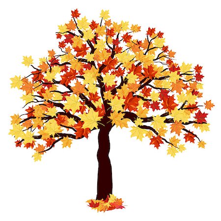 simsearch:400-07675553,k - Autumn Maple Tree With Falling Leaves on White Background. Elegant Design with Ideal Balanced Colors. Vector Illustration. Stock Photo - Budget Royalty-Free & Subscription, Code: 400-08199698