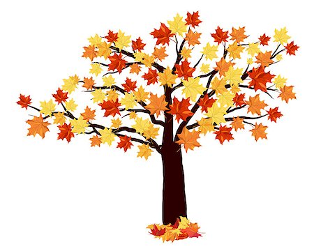Autumn Maple Tree With Falling Leaves on White Background. Elegant Design with Ideal Balanced Colors. Vector Illustration. Stock Photo - Budget Royalty-Free & Subscription, Code: 400-08199700
