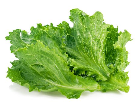 simsearch:400-08377901,k - Leaf fresh lettuce. Isolated on white background Stock Photo - Budget Royalty-Free & Subscription, Code: 400-08190113