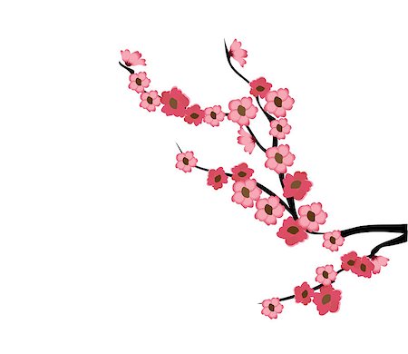 simsearch:400-04778102,k - vector illustration of a cherry blossom background Fotografie stock - Microstock e Abbonamento, Codice: 400-08190139