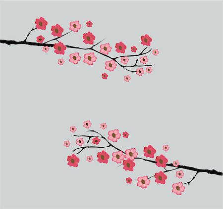 simsearch:400-04778102,k - vector illustration of a cherry blossom background Fotografie stock - Microstock e Abbonamento, Codice: 400-08190142