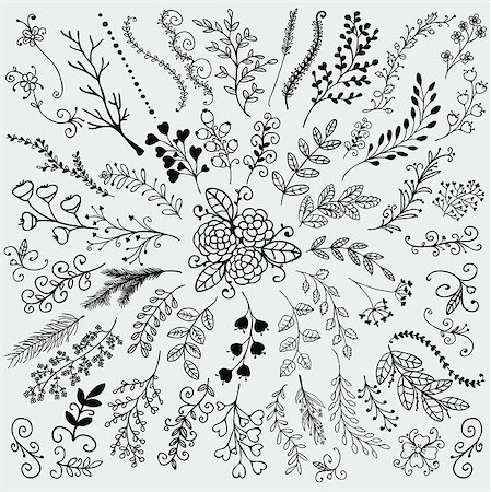 simsearch:400-08755813,k - Vector Black Hand Sketched Rustic Floral Doodle Decorative Branches, Swirls, Design Elements. Hand Drawing Vector Illustration. Discrete Brushes. Stock Photo - Budget Royalty-Free & Subscription, Code: 400-08191125