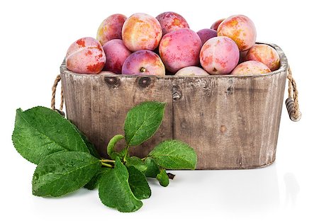 simsearch:400-08377901,k - Fresh plums in wooden basket with green leaves. Isolated on white background Stock Photo - Budget Royalty-Free & Subscription, Code: 400-08191833