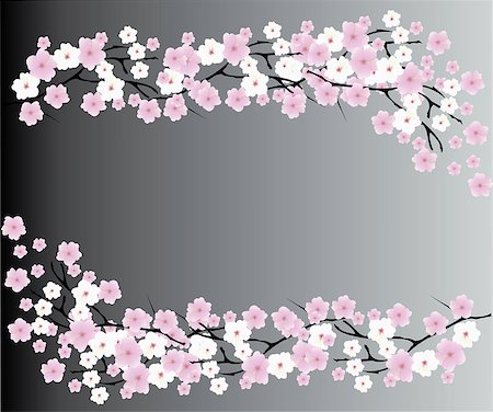 simsearch:400-04778102,k - vector illustration of a cherry blossom background Fotografie stock - Microstock e Abbonamento, Codice: 400-08192115
