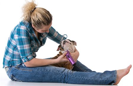 dog grooming - bulldog getting face shaved by woman Photographie de stock - Aubaine LD & Abonnement, Code: 400-08192655