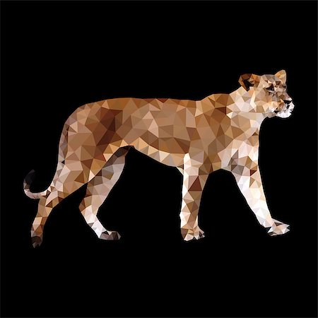 low poly vector illustration of walking lioness isolated Stock Photo - Budget Royalty-Free & Subscription, Code: 400-08193612