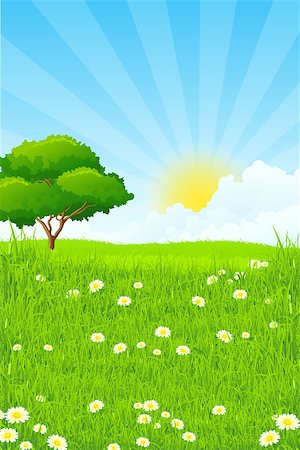 Green Landscape with clouds and sun and one Green Tree Stock Photo - Budget Royalty-Free & Subscription, Code: 400-08193726