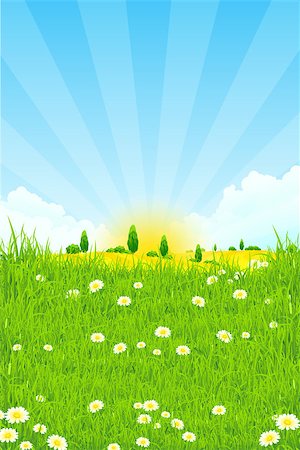 Green Landscape with trees clouds flowers and Sun Stock Photo - Budget Royalty-Free & Subscription, Code: 400-08193723