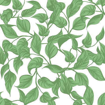 seamless background. green leaves on white background Stock Photo - Budget Royalty-Free & Subscription, Code: 400-08193781
