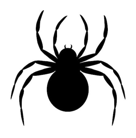 simsearch:400-08200203,k - Silhouette of black spider isolated on white Foto de stock - Royalty-Free Super Valor e Assinatura, Número: 400-08200202