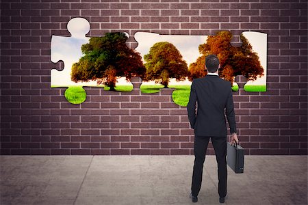 simsearch:400-08020381,k - Rear view of businessman holding a briefcase against trees in green field Fotografie stock - Microstock e Abbonamento, Codice: 400-08224779