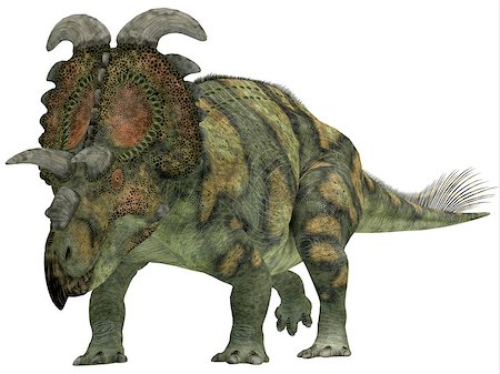 simsearch:400-05375985,k - Albertaceratops was a herbivorous dinosaur that lived in Upper North America in the Cretaceous Period. Fotografie stock - Microstock e Abbonamento, Codice: 400-08221700