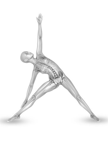 simsearch:400-08223112,k - 3D render of a medical female figure with skeleton in a yoga pose Photographie de stock - Aubaine LD & Abonnement, Code: 400-08222426