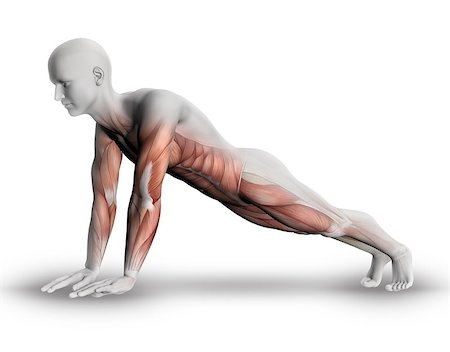 simsearch:400-08107579,k - 3D male medical figure with partial muscle map in yoga pose Foto de stock - Super Valor sin royalties y Suscripción, Código: 400-08222890