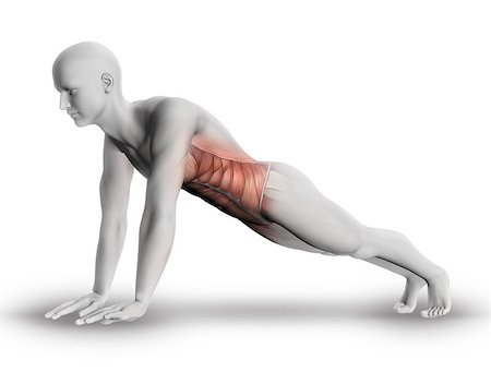 simsearch:400-08107579,k - 3D render of a male medical figure with partial muscle map showing stomach muscles in yoga pose Foto de stock - Super Valor sin royalties y Suscripción, Código: 400-08223112