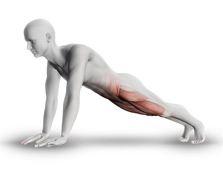 simsearch:400-08107579,k - 3D render of a male medical figure with partial muscle map showing upper leg muscles in yoga pose Foto de stock - Super Valor sin royalties y Suscripción, Código: 400-08223220