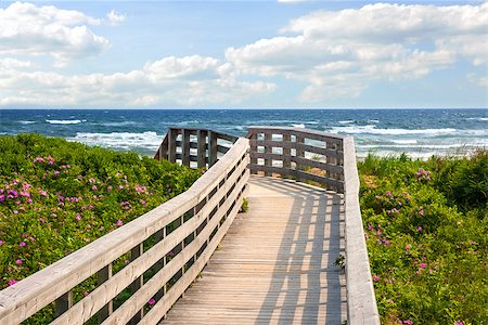 Wooden walkway leading to Atlantic ocean beach with wild rose flowers in Prince Edward Island, Canada. Foto de stock - Royalty-Free Super Valor e Assinatura, Número: 400-08223992