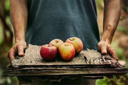 simsearch:400-08552542,k - Organic fruit and vegetables. Farmers hands with freshly harvested apples. Stock Photo - Budget Royalty-Free & Subscription, Code: 400-08254553