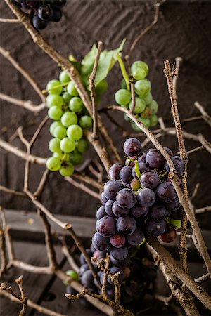 Red wine with grapes. Fresh grapes on wood. Autumn fruit Stockbilder - Microstock & Abonnement, Bildnummer: 400-08254710