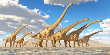 simsearch:400-08332007,k - A herd of Sauroposeidon dinosaurs travel together in search of water and vegetation to eat. Foto de stock - Super Valor sin royalties y Suscripción, Código: 400-08254749