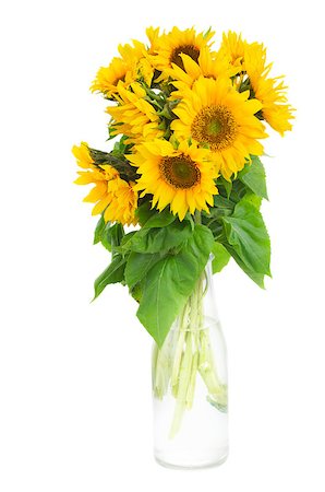simsearch:400-08131611,k - bouquet of bright sunflowers in bottle isolated on whute Stock Photo - Budget Royalty-Free & Subscription, Code: 400-08255107
