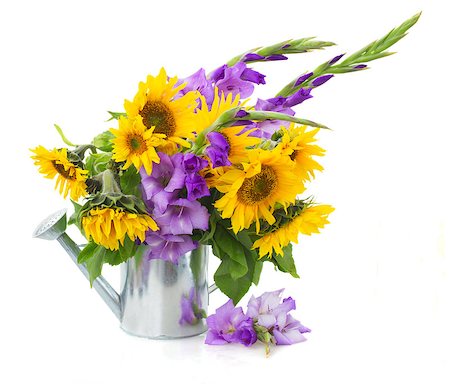 bouquet of bright sunflowers with gladioluses isolated on whute Foto de stock - Royalty-Free Super Valor e Assinatura, Número: 400-08255108