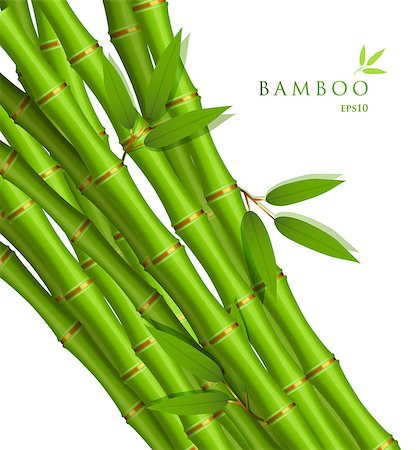 simsearch:400-07035863,k - Vector illustration of Background with green bamboo Stockbilder - Microstock & Abonnement, Bildnummer: 400-08255574