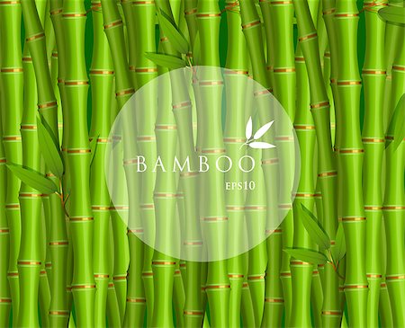 simsearch:400-07035863,k - Vector illustration of Background with green bamboo Stockbilder - Microstock & Abonnement, Bildnummer: 400-08255585