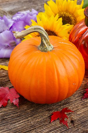 simsearch:400-07089027,k - one orange pumpkin with flowers and fall leaves on wooden textured  table Stock Photo - Budget Royalty-Free & Subscription, Code: 400-08256066