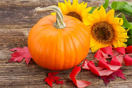 simsearch:400-07089027,k - one orange pumpkin with sunflowers and red fall leaves on wooden textured  table Stock Photo - Budget Royalty-Free & Subscription, Code: 400-08256067