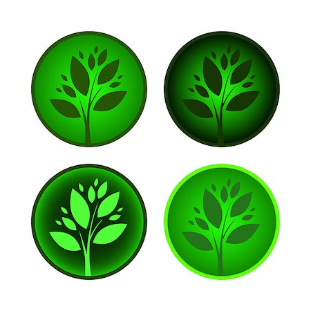 egor_zaharov (artist) - Set of tree icons.  Vector green symbol Fotografie stock - Microstock e Abbonamento, Codice: 400-08256145