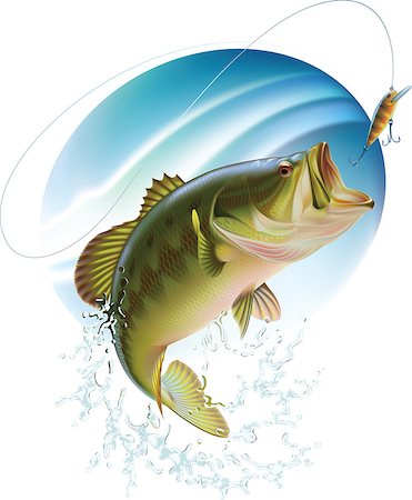 Largemouth bass is catching a bite and jumping in water spray. Layered vector illustration. Stock Photo - Budget Royalty-Free & Subscription, Code: 400-08256777