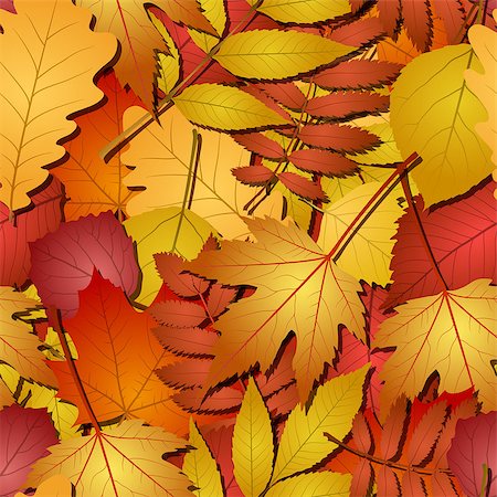 simsearch:400-04228440,k - seamless with red and yellow autumn leaves. vector illustration Foto de stock - Super Valor sin royalties y Suscripción, Código: 400-08258211