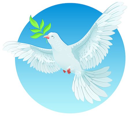 peace day pigeon - White dove holding green twig. International Peace Day concept. Dove with green olive branch. Illustration in vector format Stock Photo - Budget Royalty-Free & Subscription, Code: 400-08259543