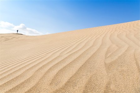 simsearch:400-04034980,k - Canary islands, Maspalomas. Spain. Sand dunes. People on the horizon. Foto de stock - Royalty-Free Super Valor e Assinatura, Número: 400-08250205