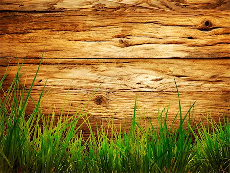 Spring grass background. Grass over wood. Nature background with grass and wood Stockbilder - Microstock & Abonnement, Bildnummer: 400-08250294