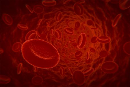 Illustration of red blood cells floating in a vein inside a human body. Fotografie stock - Microstock e Abbonamento, Codice: 400-08250895