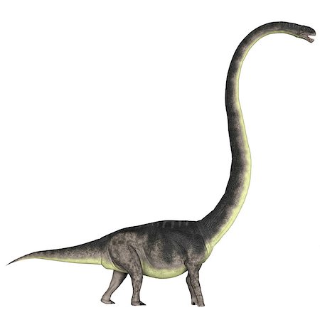 simsearch:400-08332007,k - Omeisaurus was a herbivorous dinosaur that lived in the Jurassic Period of China. Foto de stock - Super Valor sin royalties y Suscripción, Código: 400-08250976