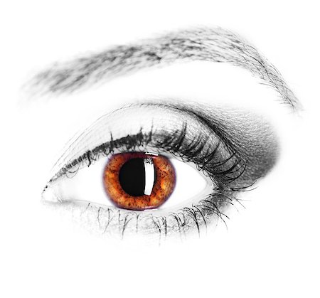 simsearch:400-07974101,k - image of human eye, brown iris, close up Foto de stock - Royalty-Free Super Valor e Assinatura, Número: 400-08251661