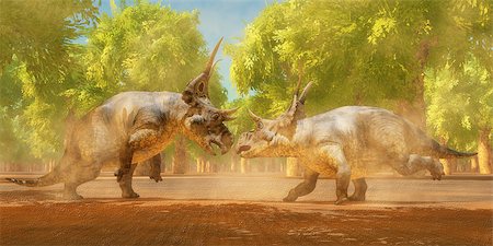 simsearch:400-05375985,k - Two Diabloceratops dinosaurs fight for mating rights during the Cretaceous Period of Utah, North America. Foto de stock - Royalty-Free Super Valor e Assinatura, Número: 400-08252731