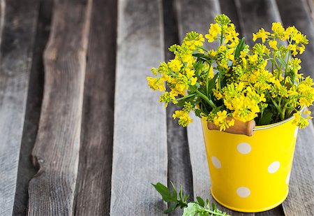 Beautiful summer yellow flowers in a bucket on wooden table Stock Photo - Budget Royalty-Free & Subscription, Code: 400-08253228