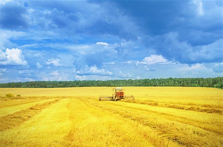simsearch:400-05041805,k - Harvester in work in the field in a hot summer day. Stock Photo - Budget Royalty-Free & Subscription, Code: 400-08253459
